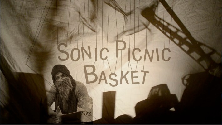 sonic picnic basket