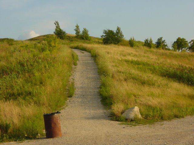 12002194_1713488808874859_1158065494426237846_n