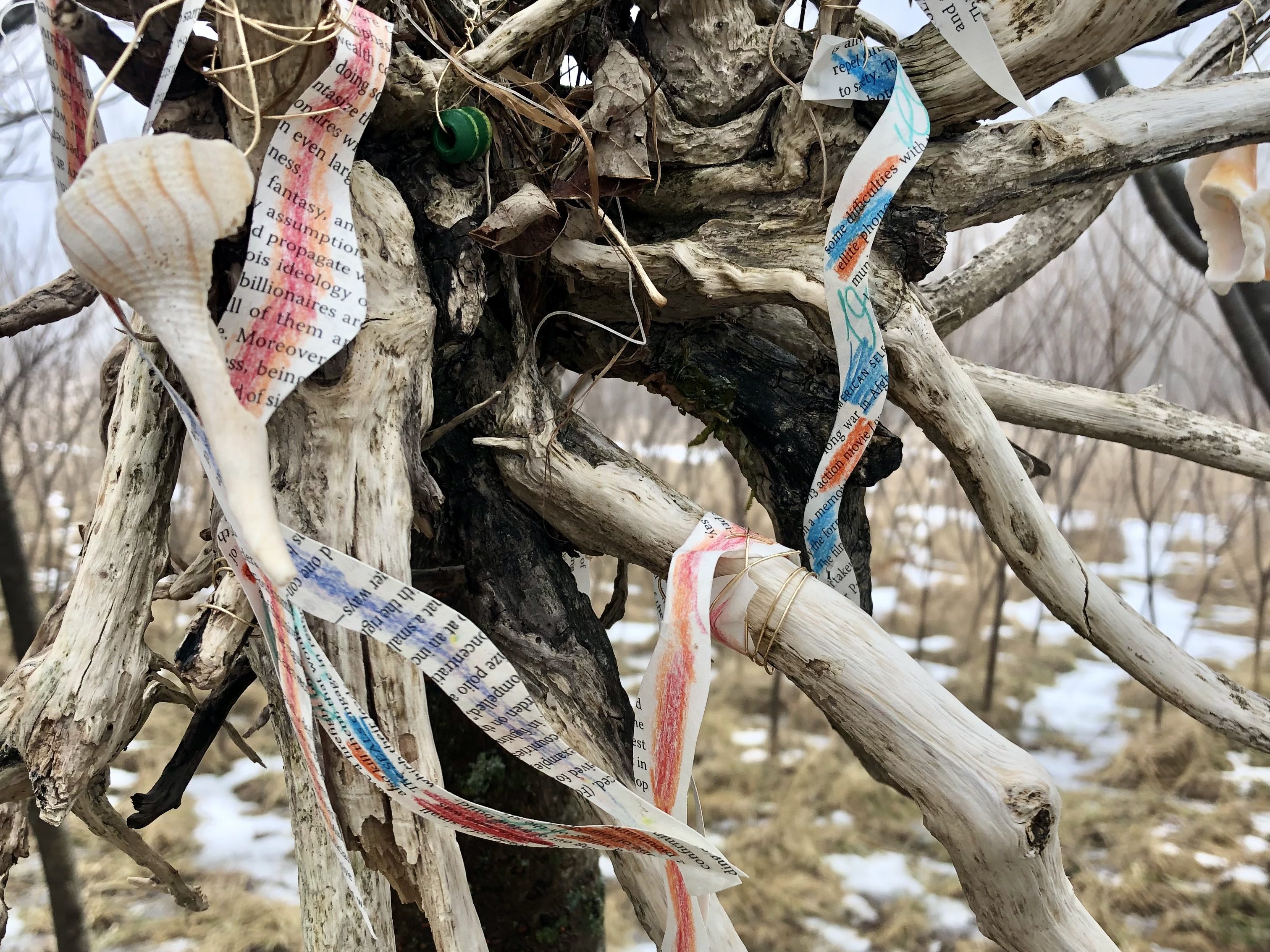 Belle Isle driftwood, brass wire, magazine paper, colored pencil, beads
and broken shells collected from a beach in Florida.